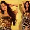 Started off her celluloid journey in Bollywood and excelled in Tollywood