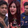 Sidharth chose Paras over Shehnaz