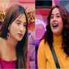 Her love-hate relationship with Shehnaaz