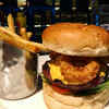 <i class="tbold">hard rock cafe</i>
