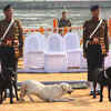 Article image for: In pics: Indian commandos display thrilling stunts at Defence Expo