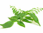 ​Helps in curing nausea