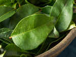 ​Helps in improving digestion