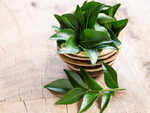 ​Curry leaves for fat loss