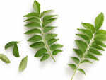 Miraculous curry leaves