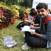 Article image for: New pictures of <i class="tbold">misra</i>