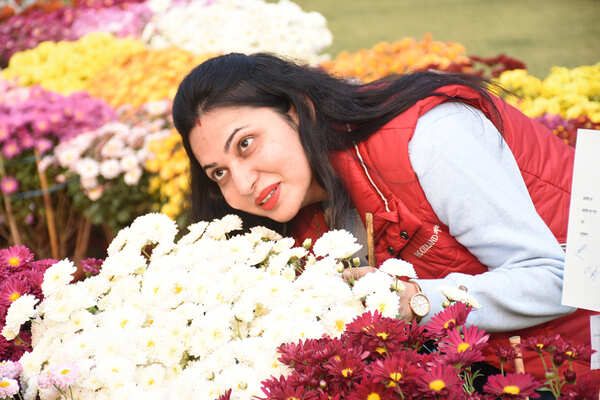 Anshu