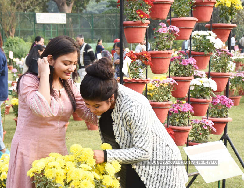 Lucknowites bask into annual flower exhibition
