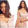 Malavika Mohanan looks resplendent in an embroidered net saree
