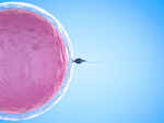 ​Myth: Infertility and impotency are the same conditions