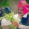 Article image for: <i class="tbold">500 episodes</i> of Balumama