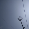 Delhi Police deploy drone in Maujpur area of northeast Delhi to keep an eye on the miscreants and maintain peace.