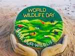 Sudarsan Pattnaik's message on World Wildlife Day