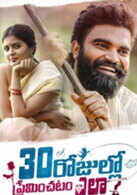 30 Rojullo Preminchatam Ela