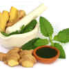 Ginger-tulsi