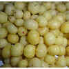 Amla or Gooseberry