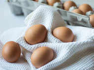 Egg consumption not related to cardiovascular disease risk: Study