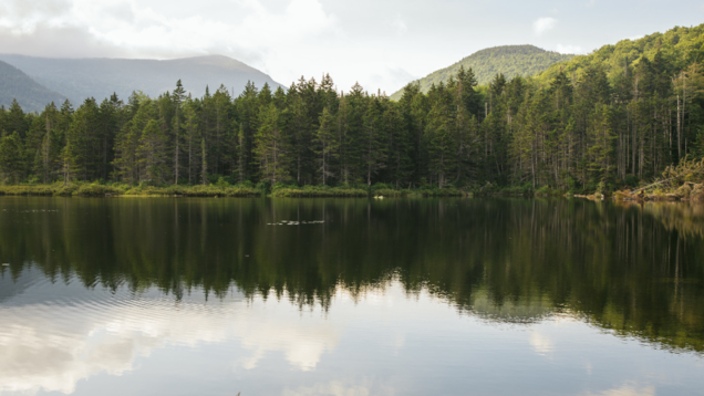 New adventures in New England