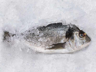 Here is how long you can keep your fish fresh in the fridge