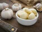 Garlic
