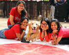 When pets paraded through city’s college campus