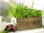 Here are most of the things that will help you to grow vegetables at home