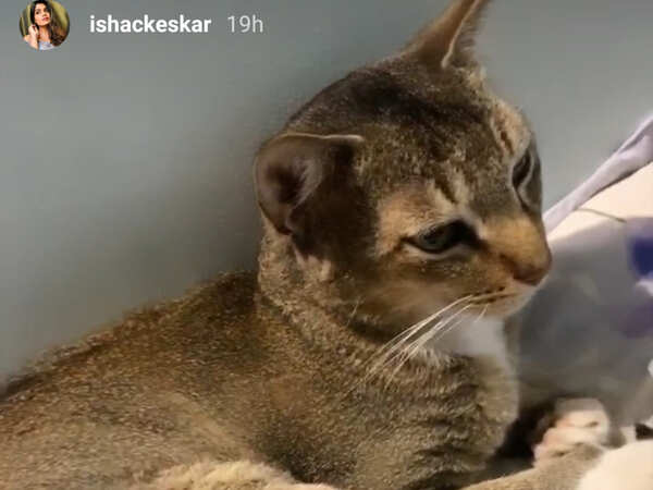 Isha Keskar