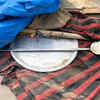 Article image for: <i class="tbold">shaheen bagh</i>, Coronavirus lockdown pictures