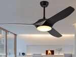 Ceiling fan