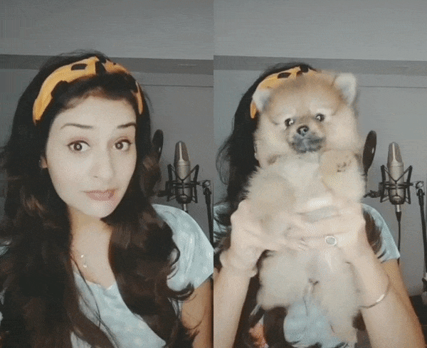 Payal Rajput Stills