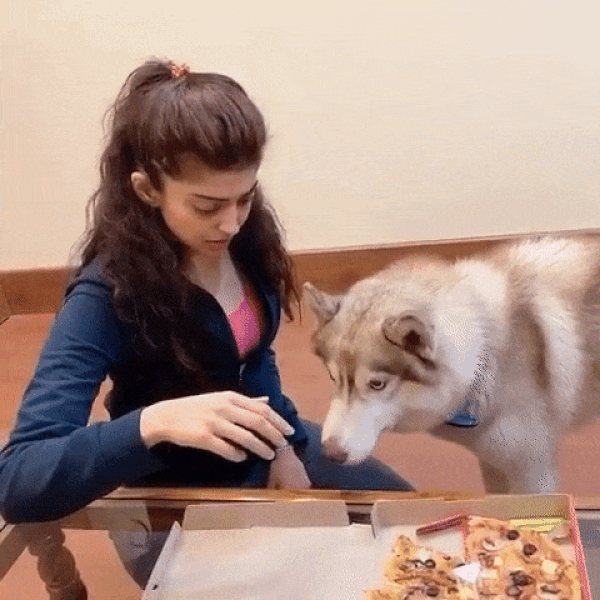 Pranitha Subhash Pictures