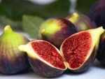 Figs