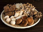 Health benefits of Mushrooms