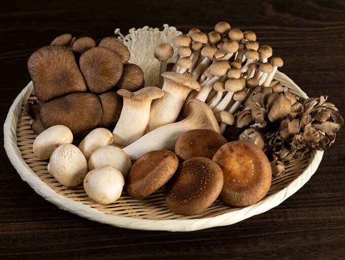 Varieties of Mushrooms in India: 8 types of Mushrooms found in India and their health benefits