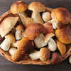 Porcini Mushrooms