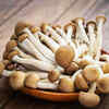 Shimeji Mushrooms