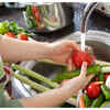 Keeping packaged food out doesn’t help