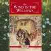 ​‘The Wind in the Willows’ by Kenneth Grahame
