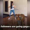 Article image for: <i class="tbold">Ahaana</i> Krishna surprises her fans by exercising with her pet tiger Ratheesh