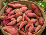 Sweet potatoes