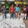 Article image for: <i class="tbold">fwice</i> goes door to door distributing ration to workers