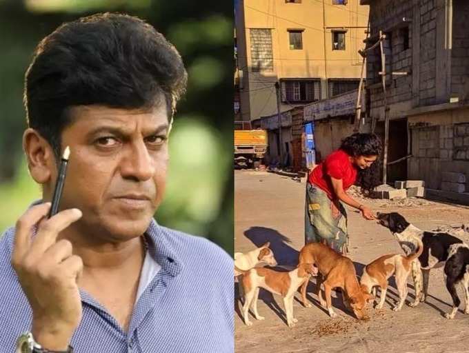 From 'Puneeth Rajkumar' to 'Samyukta Hornad': Celebrities for Kannada film  industry help Coronavirus Crisis | The Times of India