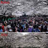 Article image for: Pictures from <i class="tbold">public spaces</i> before and after coronavirus lockdown