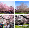 Article image for: Here are some photos of <i class="tbold">public spaces</i>