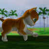Article image for: Watch Best Children Telugu Nursery Story 'కాతుదగ్గర కిట్టుని వదులుట - Kaathuni Kittu Dhaggara Vadoluta' for Kids - Check out Fun Kids Nursery Rhymes And Baby Songs In Telugu