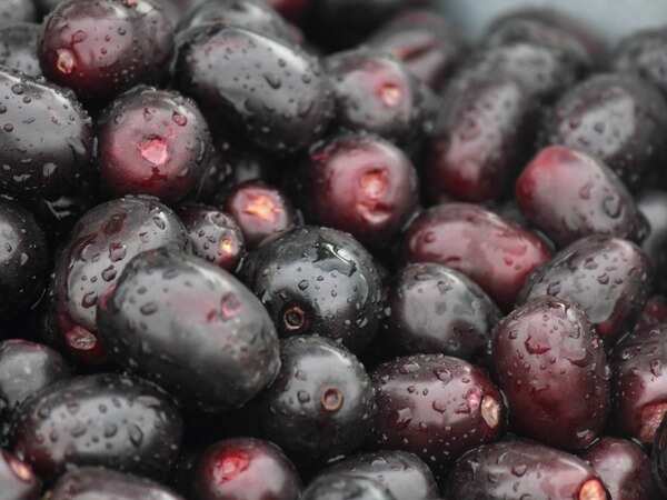 Jamun