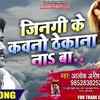 Article image for: Latest Bhojpuri Song 2020 'Zindagi Ke Kawno Thekana Na Ba' Sung By Alok Anish Yadav