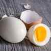 Eggs are super good for your immunity