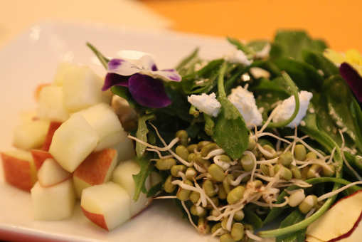 Zad Apple Salad With Winter Greens