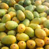 ​Diabetics cannot consume mango